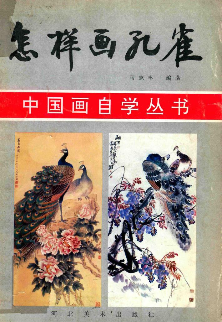 怎样画孔雀 封面