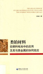 类铂材料在燃料电池中的应用及其与贵金属的协同效应 封面