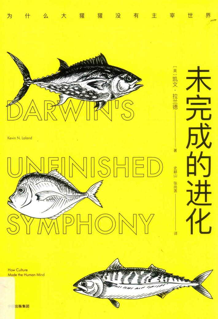 未完成的进化  为什么大猩猩没有主宰世界 封面