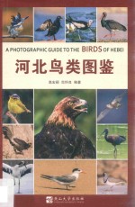 河北鸟类图鉴 封面