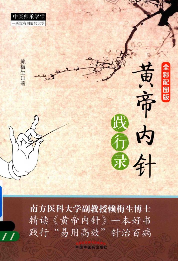 黄帝内针践行录  全彩配图版 封面