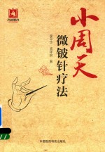 小周天微铍针疗法 封面