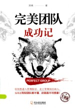完美团队成功记 封面
