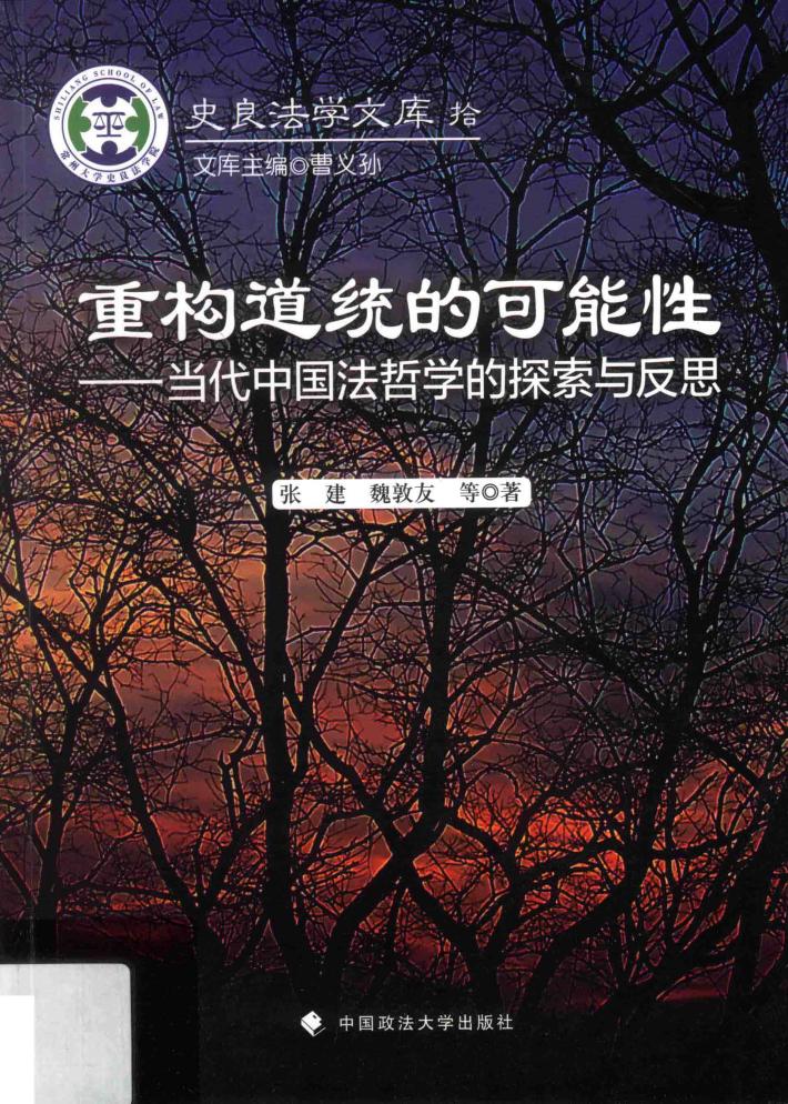 重构道统的可能性  当代中国法哲学的探索与反思 封面