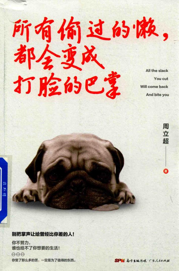 所有偷过的懒，都会变成打脸的巴掌 封面