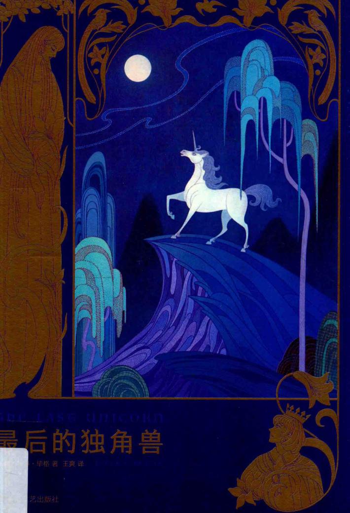 最后的独角兽 封面