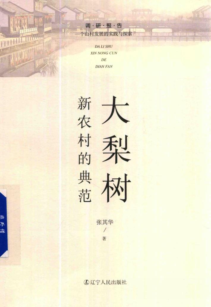 大梨树  新农村的典范 封面