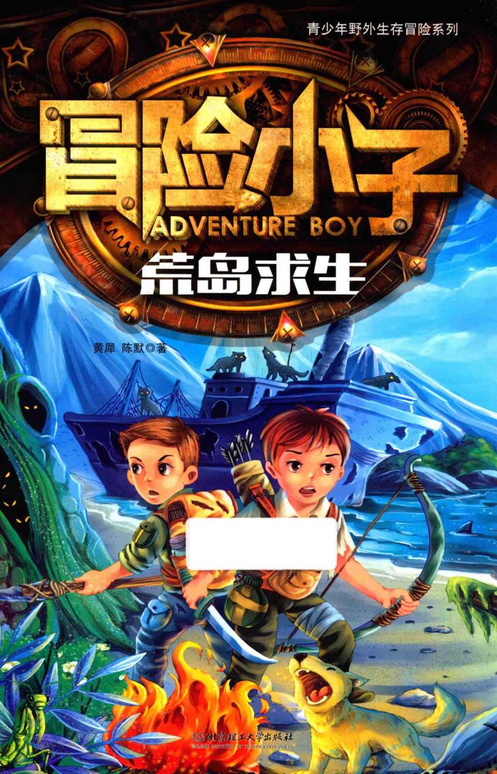 冒险小子  荒岛求生  7-14岁 封面