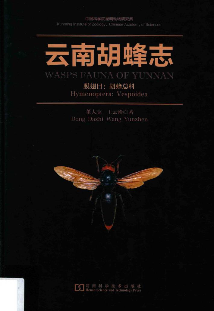 云南胡蜂志 封面