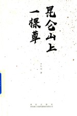 昆仑山上一棵草 封面