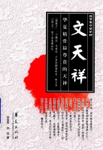 文天祥  华夏精骨最尊贵的天神 封面