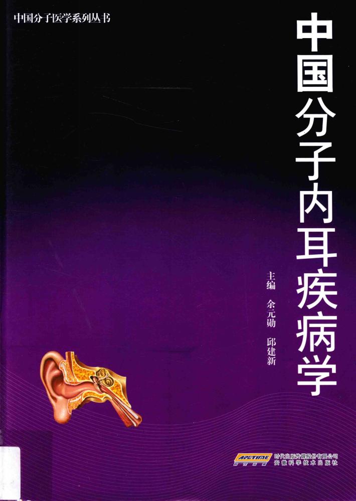 中国分子内耳疾病学 封面