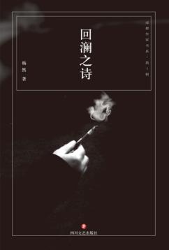 回澜之诗 封面