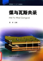 煤与瓦斯共采 封面