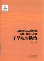 中国水旱灾害防治  战略、理论与实务  干旱灾害防治  第6卷 封面