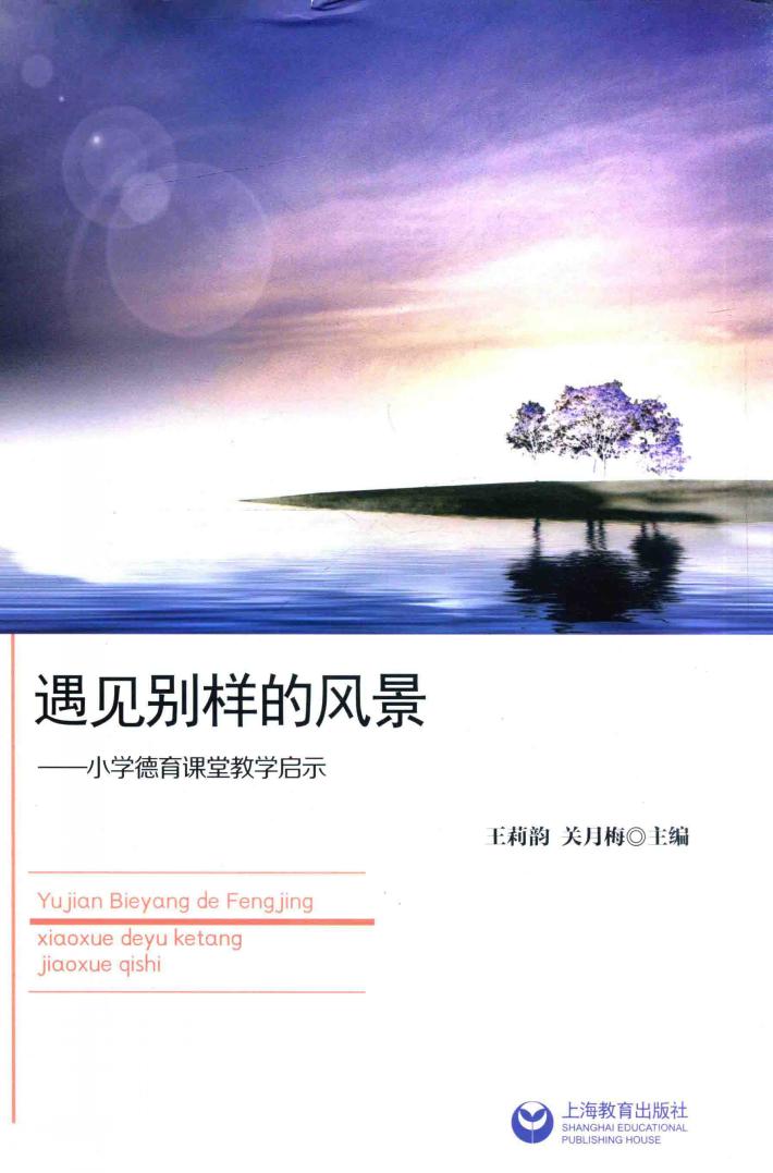遇见别样的风景  小学德育课堂教学启示 封面