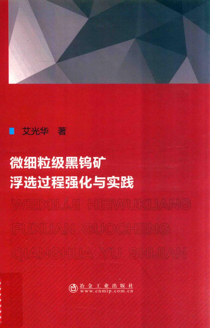微细粒级黑钨矿浮选过程强化与实践 封面