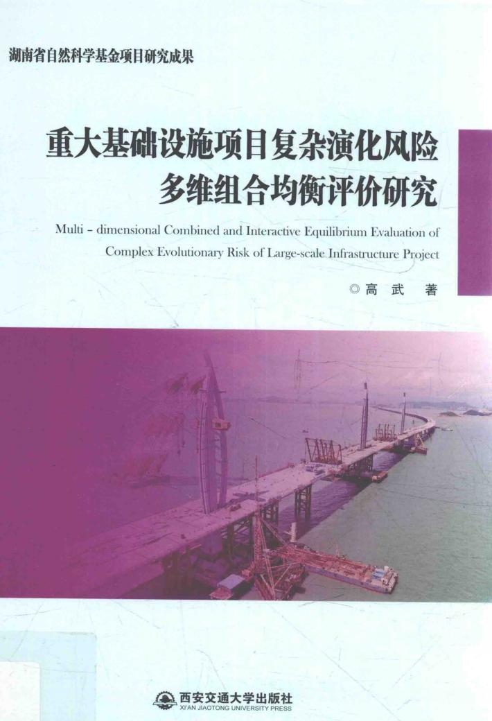 重大基础设施项目复杂演化风险多维组合均衡评价研究 封面