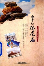 命中的玛尼石 封面