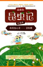 法布尔昆虫记  我爱卷心菜  菜粉蝶  彩绘本 封面