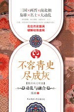 不容青史尽成灰  动乱与融合 封面
