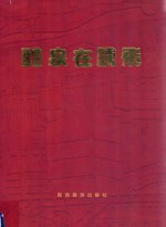 醴泉在腾飞 封面