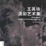 王其华泼彩艺术集 封面