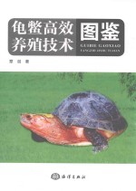 龟鳖高效养殖技术图鉴 封面