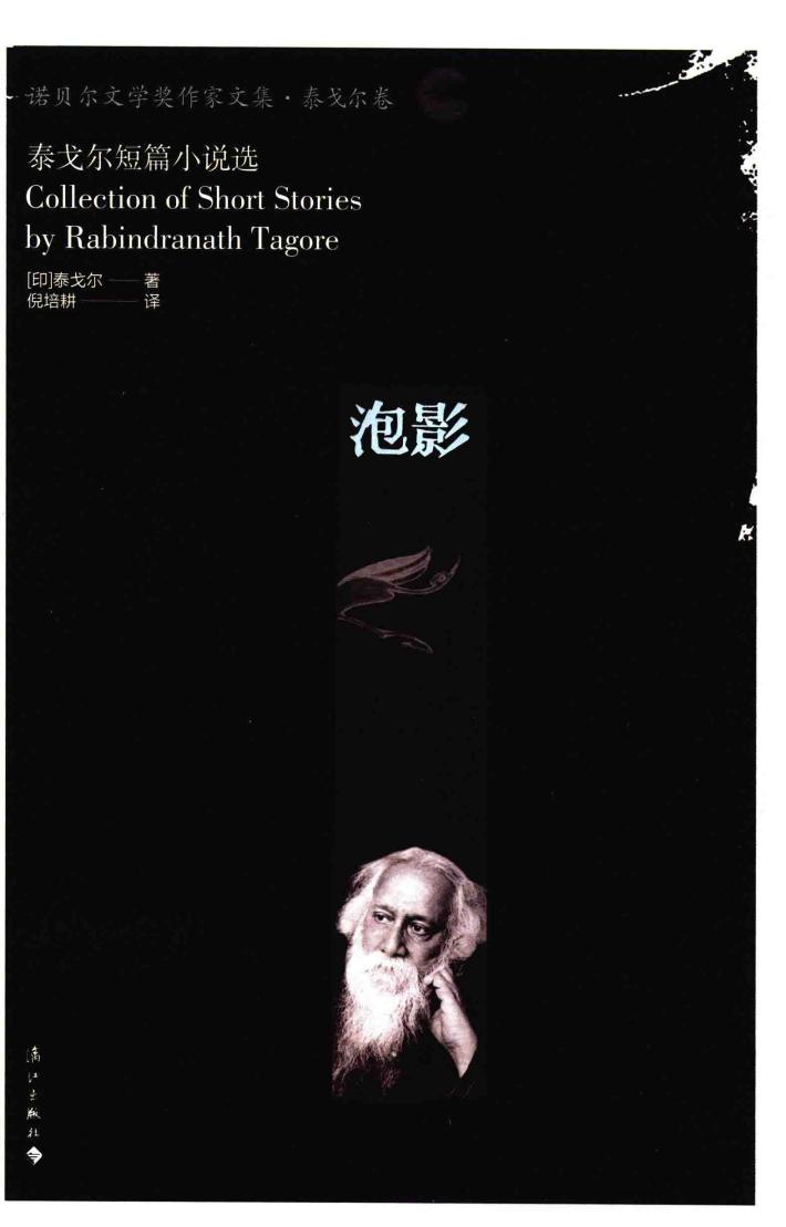泡影  泰戈尔短篇小说选 封面