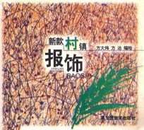 新款村镇报饰 封面