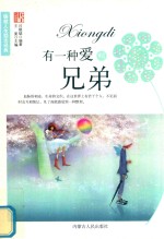 有一种爱叫兄弟 封面