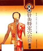 实用针灸特定穴穴位图谱 封面