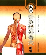实用针灸经外奇穴图谱 封面