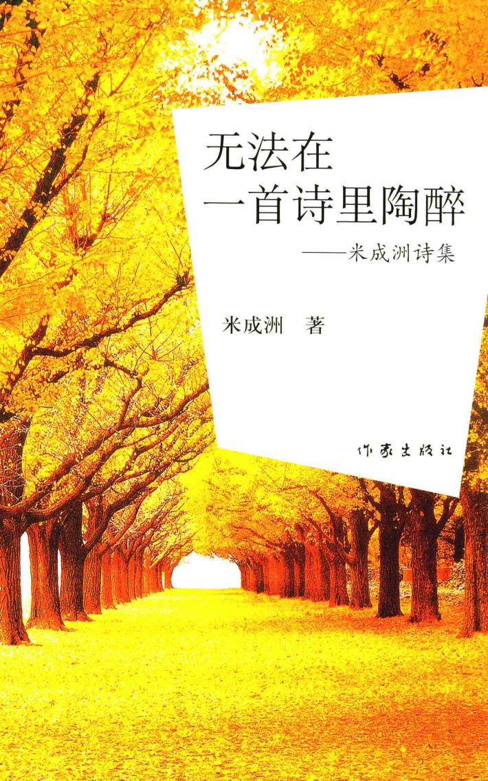 无法在一首诗里陶醉 封面
