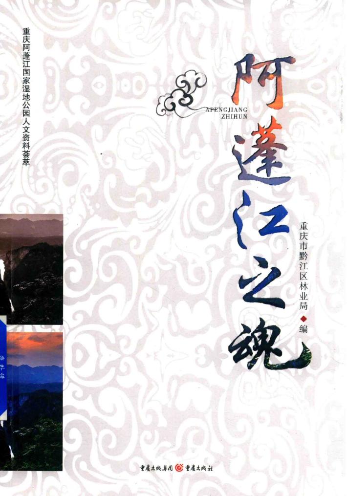 阿蓬江之魂 封面