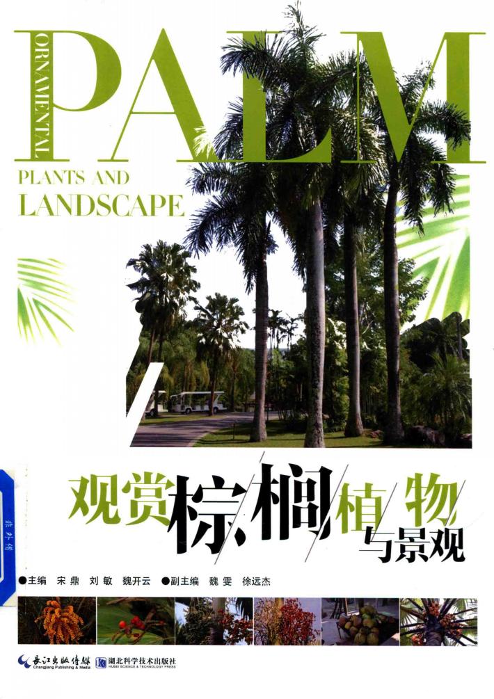 观赏棕榈植物与景观 封面