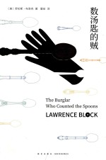 数汤匙的贼 封面