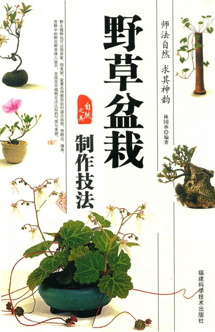 野草盆栽  制作技法 封面