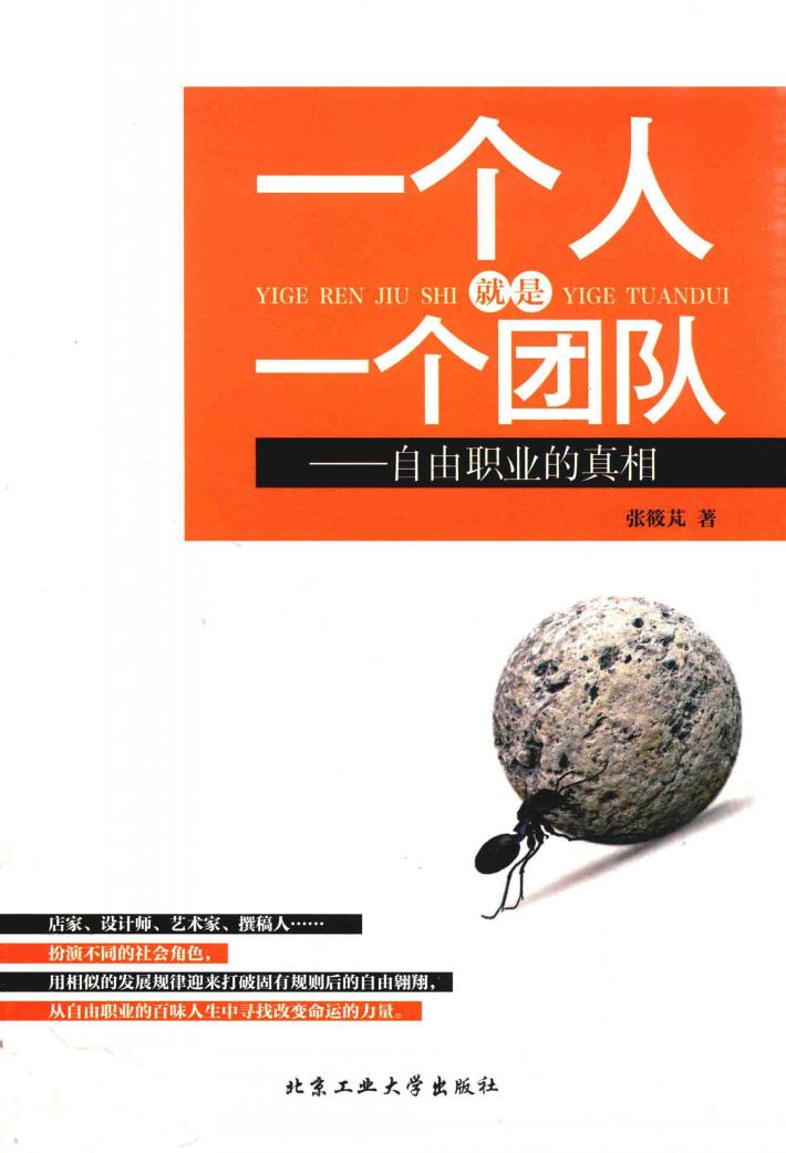 一个人就是一个团队  自由职业的真相 封面