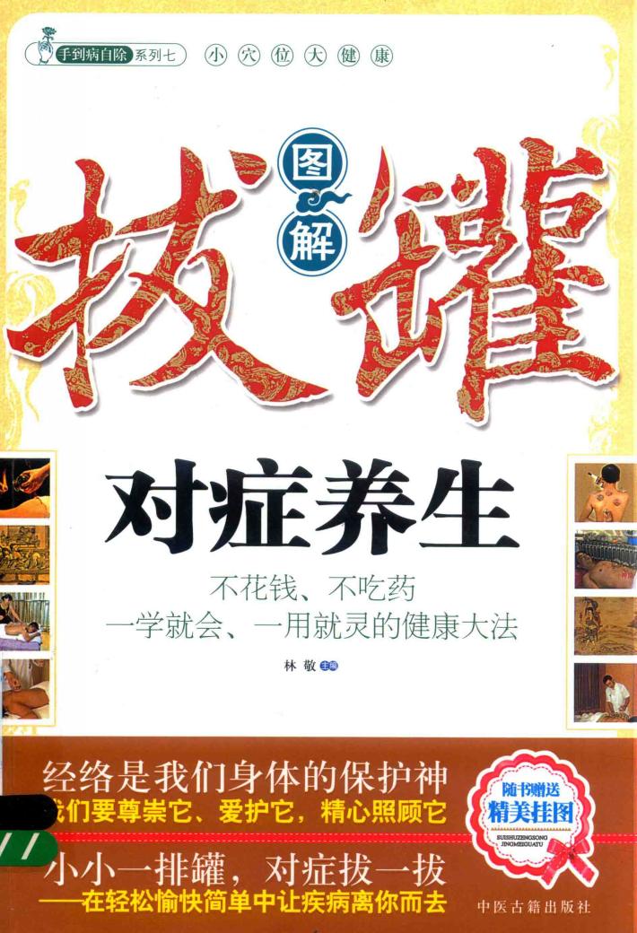 图解拔罐对症养生 封面