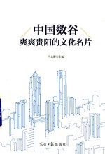 中国数谷  爽爽贵阳的文化名片 封面