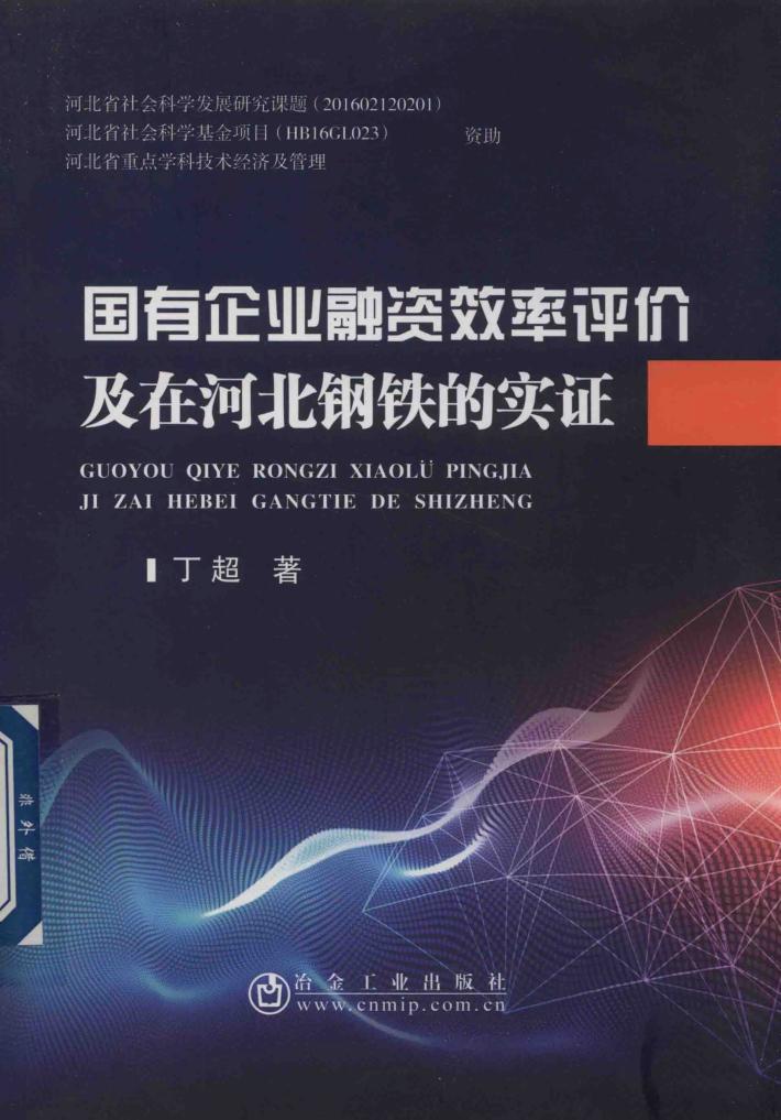 国有企业融资效率评价及在河北钢铁的实证 封面