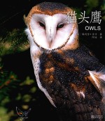 动物小百科  猫头鹰 封面