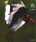 动物小百科  鹳 封面