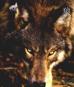 狼 封面