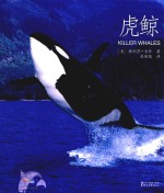 虎鲸 封面