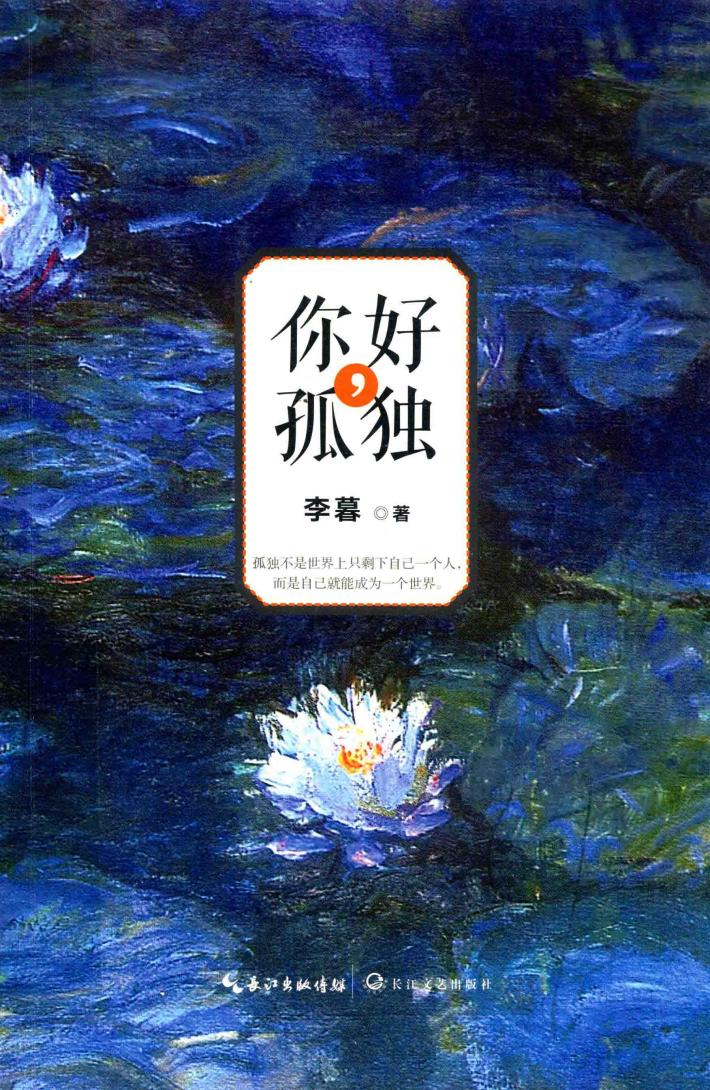 你好，孤独 封面