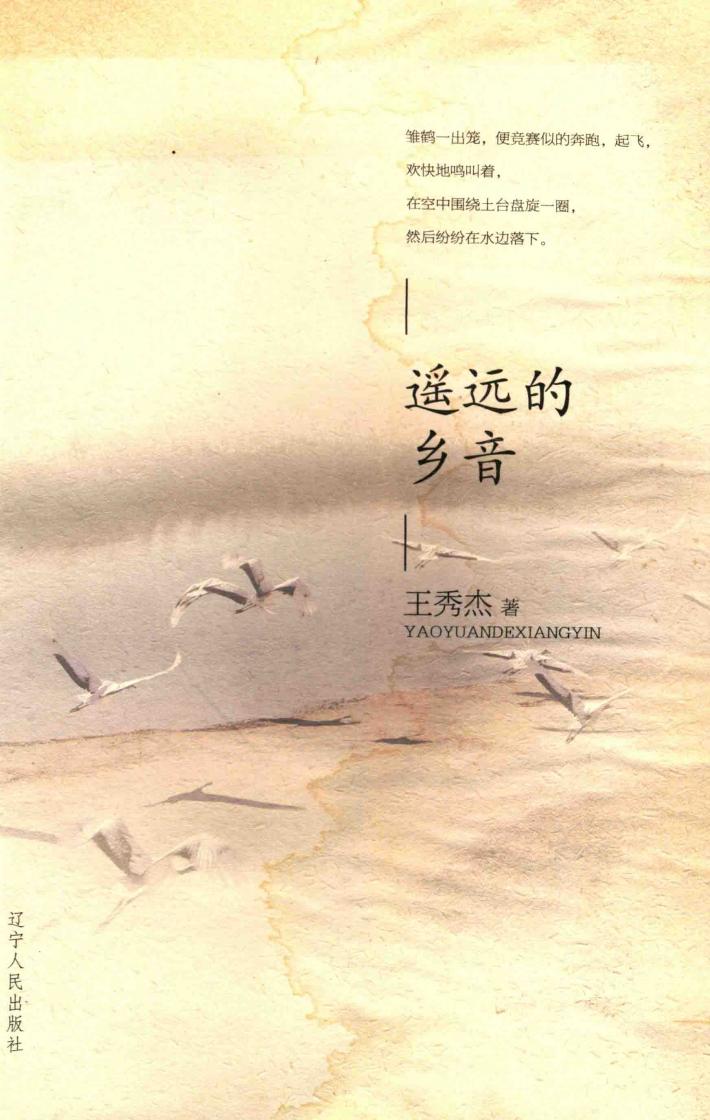 遥远的乡音 封面