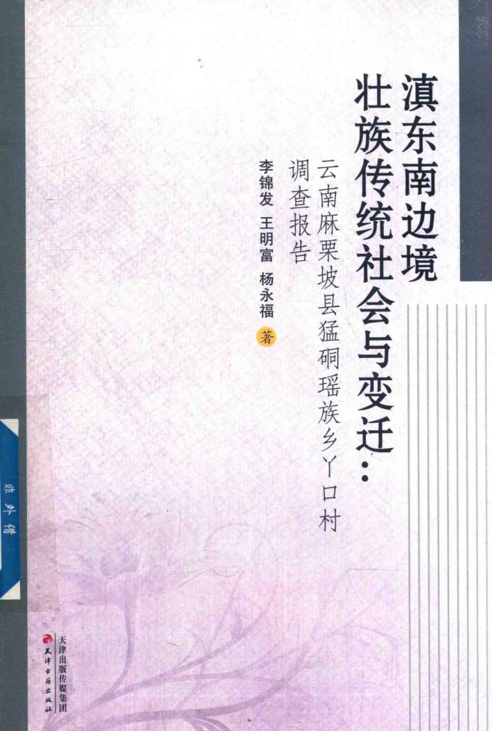 滇东南边境壮族传统社会与变迁  云南麻栗坡县猛硐瑶族乡丫口村调查报告 封面