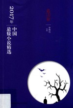 2017年中国悬疑小说精选 封面